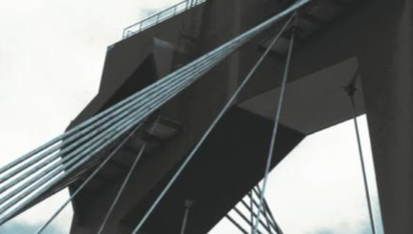 Lisa Nieth successfully defended her dissertation