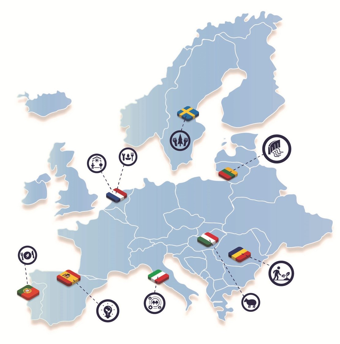 local case studies per country