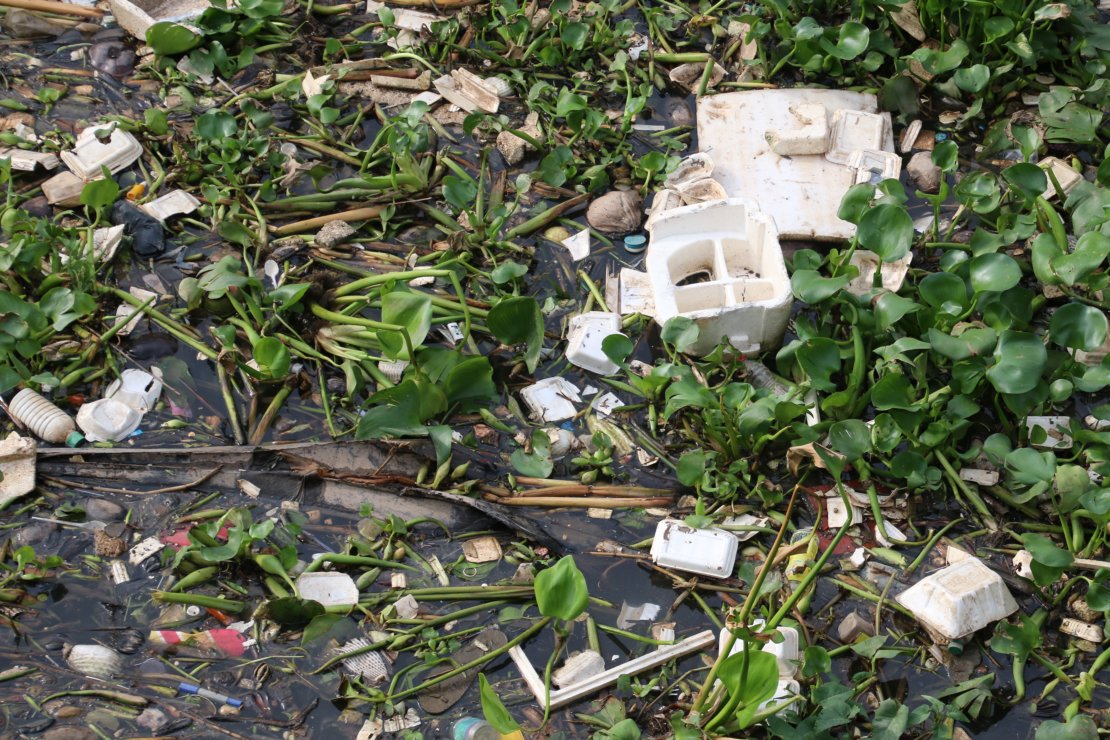 Trash and pollution near mangroves