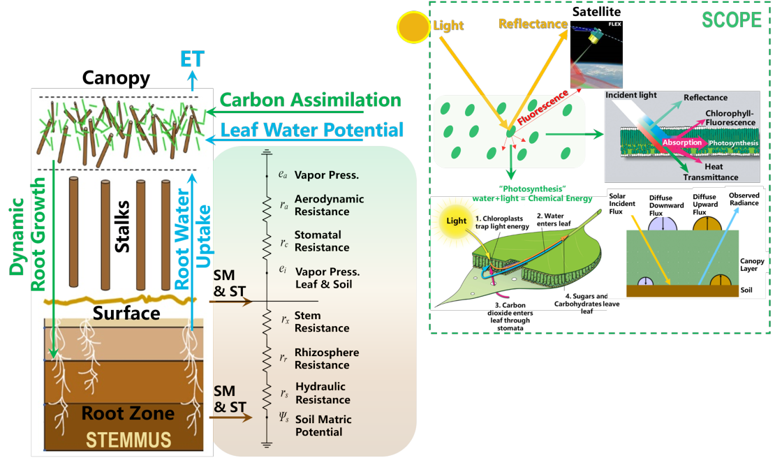 Work Packages WP3. Linking Soil Properties, Soil Moisture, and