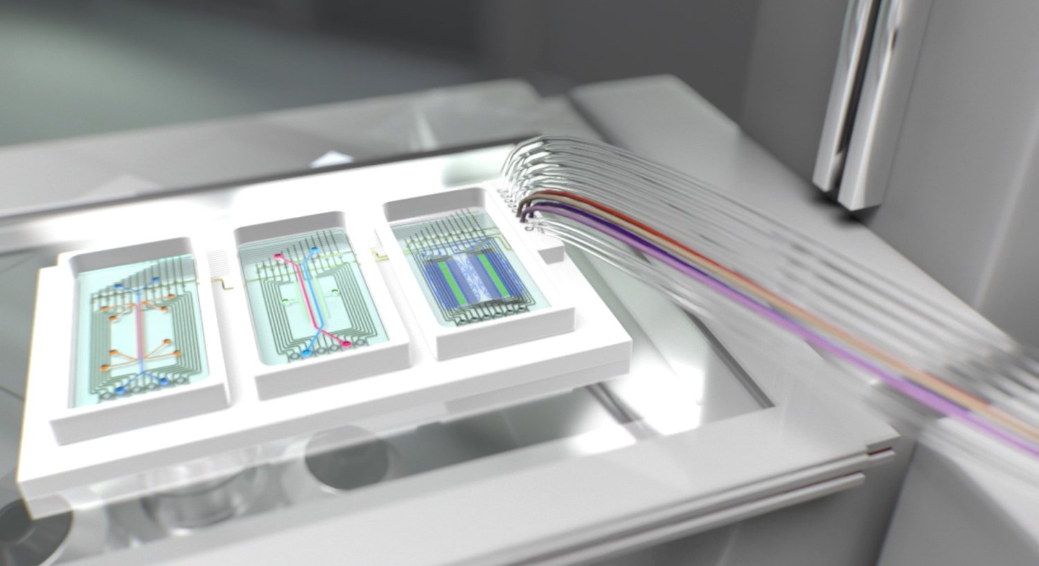 Organ-on-chip project receives huge grant to make the leap from lab to fab