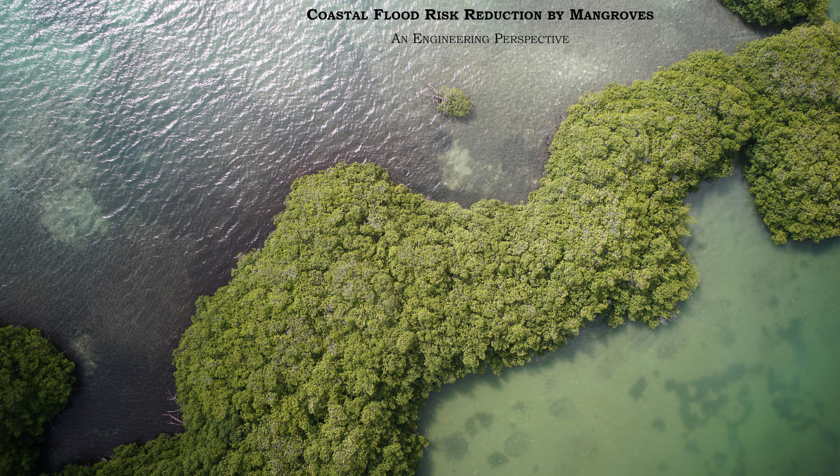 PhD Defence Rik Gijsman | Coastal flood risk reduction by mangroves - An engineering perspective