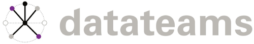 Logo datateams