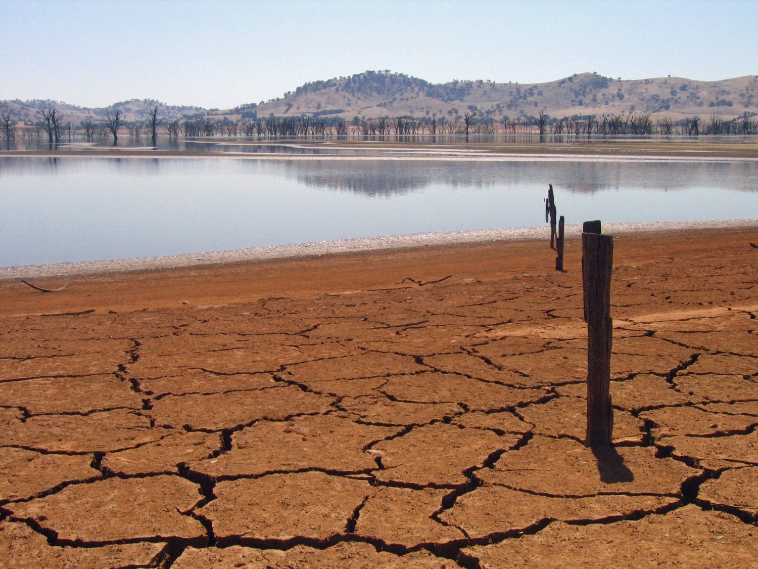 Four billion people affected by severe water scarcity