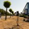 City of Enschede and UT students study potential of acoustic cameras