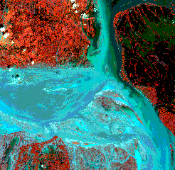 Color composite of severe flooding