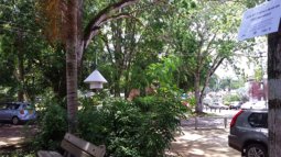Towards a green and more liveable Paramaribo