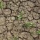 Netherlands and Germany combine efforts to address drought