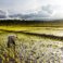 Research priorities for global food security under extreme events
