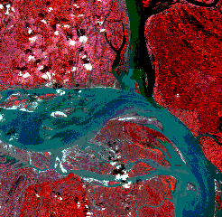 Color composite of moderate severe flooding