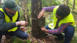 Monitoring Wild Boar