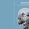 PhD Defence Eva de Krijger-Feringa | Emotional Awareness: Compassion as a means to promote the sustainable mental health of military personnel