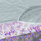 European Membrane Society Summer School