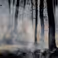 Fighting fire with science: research and funding for wildfire control