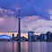 Alumni Networking Event Toronto