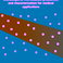 PhD Defence Martin van den Broek | Monodisperse Microbubble Production and Characterization for Medical Applications