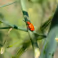 Expositie | Nature in focus
