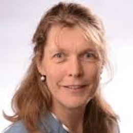 Cornelise Vreman-de Olde, Dr. ir.