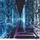 ICT, Society & Policy