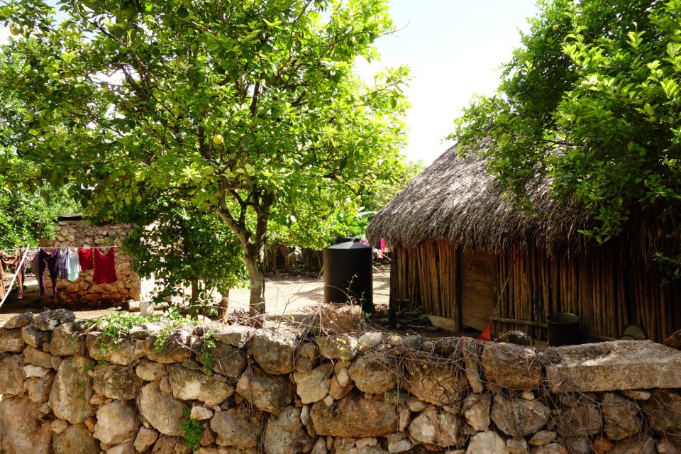 Maya house