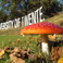 Opening fototentoonstelling: Biodiversiteit op onze campus