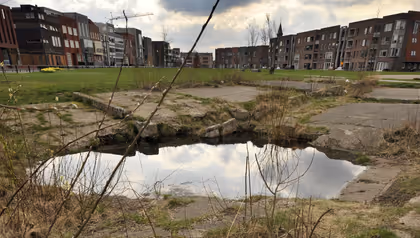 Roombeek