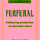 PhD Defence Peter van der Wal | Furfural: Enhancing production via boronate esters