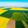 Translating field photos to detailed cop descriptions: ESA project advances AI technology to agricultural assessment