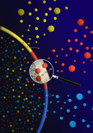 cover-image-version-11-lowres