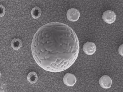 Si micropillars with CuO micro-ball