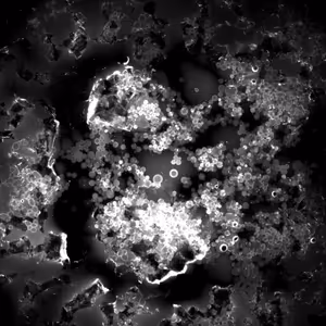 Salty micro nebula
