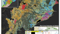 Crop Production Analytics using Dynamic Area Sampling Frames and Smartphone 3D Imaging (Partners)