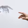 UT philosophy professor Julia Hermann to deliver keynote at symposium on AI innovation