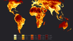 Global Accessibility Map