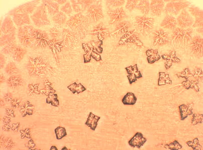 PBS Snowflakes
