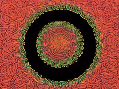 Ring-a-ring o’roses: playground of molecular-machines