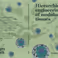 Promotie Castro Johnbosco | Hierarchical engineering of modular tissues