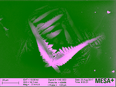 NaCl crystallization under SEM