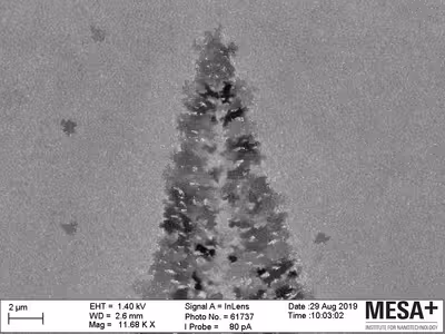 Christmass Tree