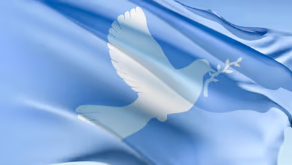 International peace flag