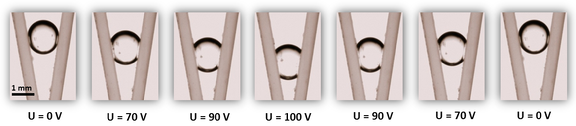 D:\Dropbox\PCF\Manuscript\Wedge\Website\schematics3 v4 with abc.png